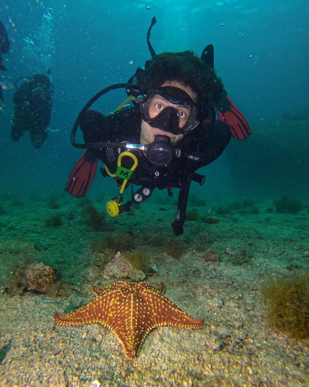 MERGULHO  CREDENCIADO PARATY
