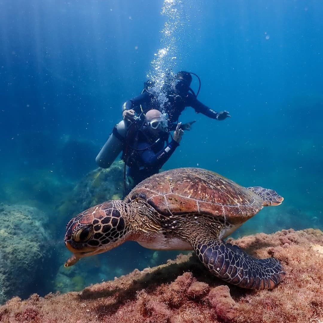 MERGULHO  CREDENCIADO PARATY