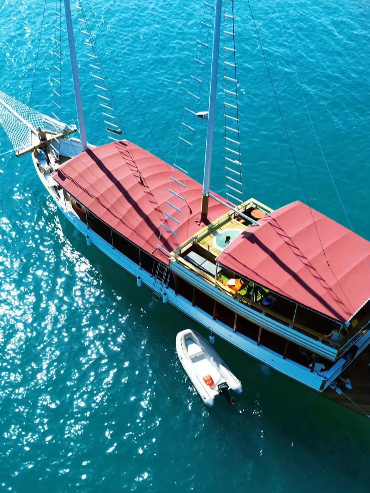 ESCUNA NOVA 10:00 Horas - Ilha dos Cocos ROTEIRO COMPLETO