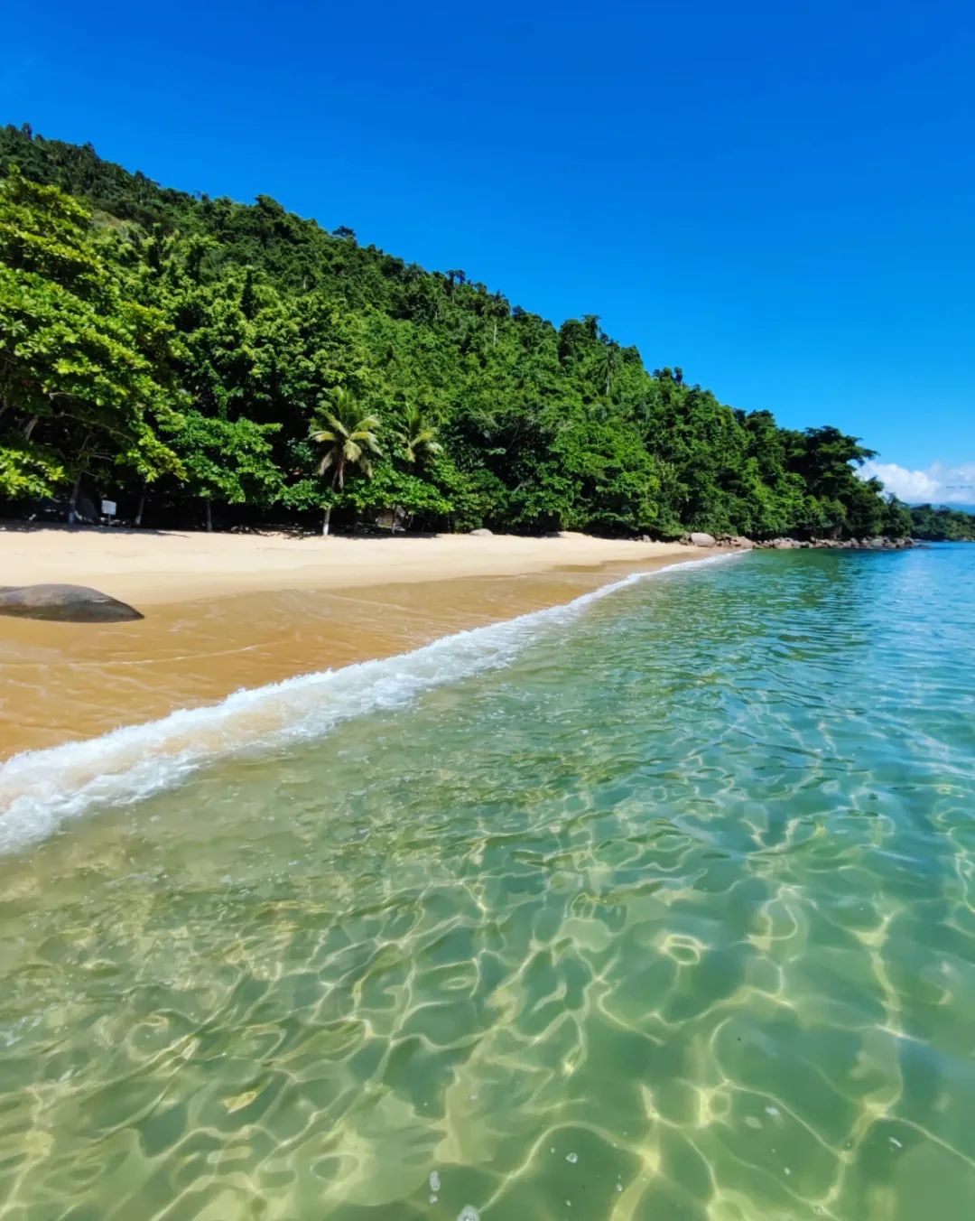 ESCUNA NOVA 10:00 Horas - Ilha dos Cocos ROTEIRO COMPLETO