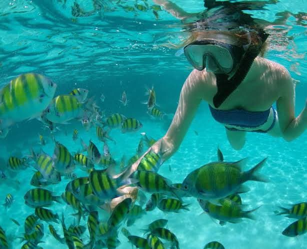 ESCUNA NOVA 10:00 Horas - Ilha dos Cocos ROTEIRO COMPLETO