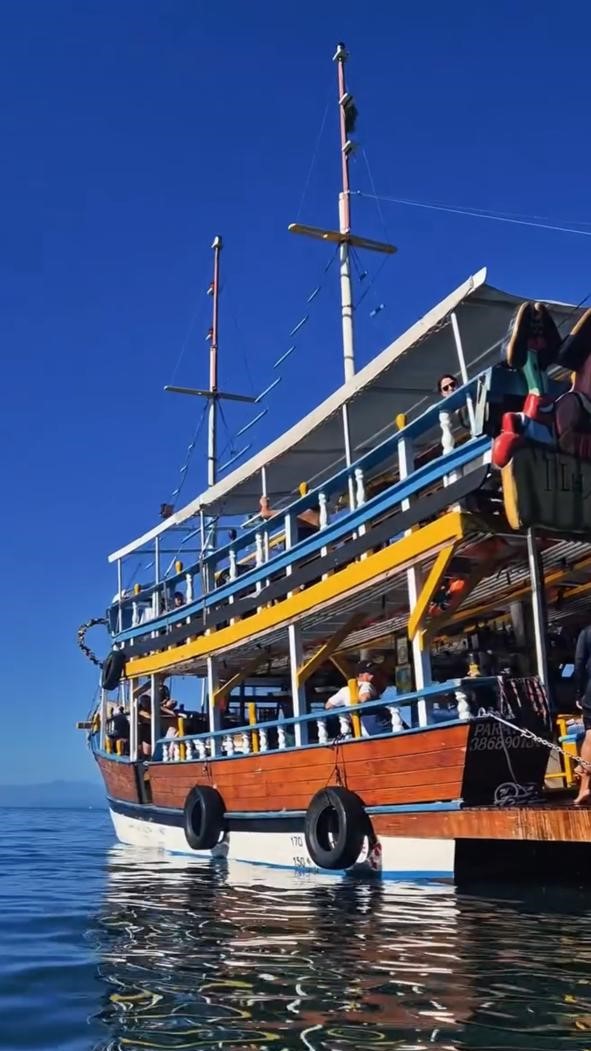 ESCUNA - SpongeBob THEMATICO - 11:00 Horas - Ilha dos Cocos