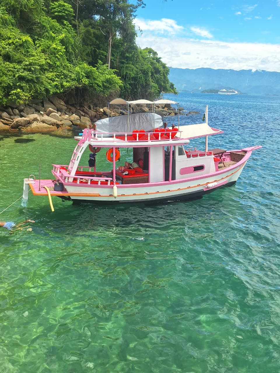 BARCO PRIVATIVO PARATY 10 Pessoas