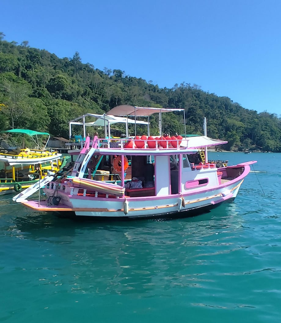 BARCO PRIVATIVO PARATY 10 Pessoas