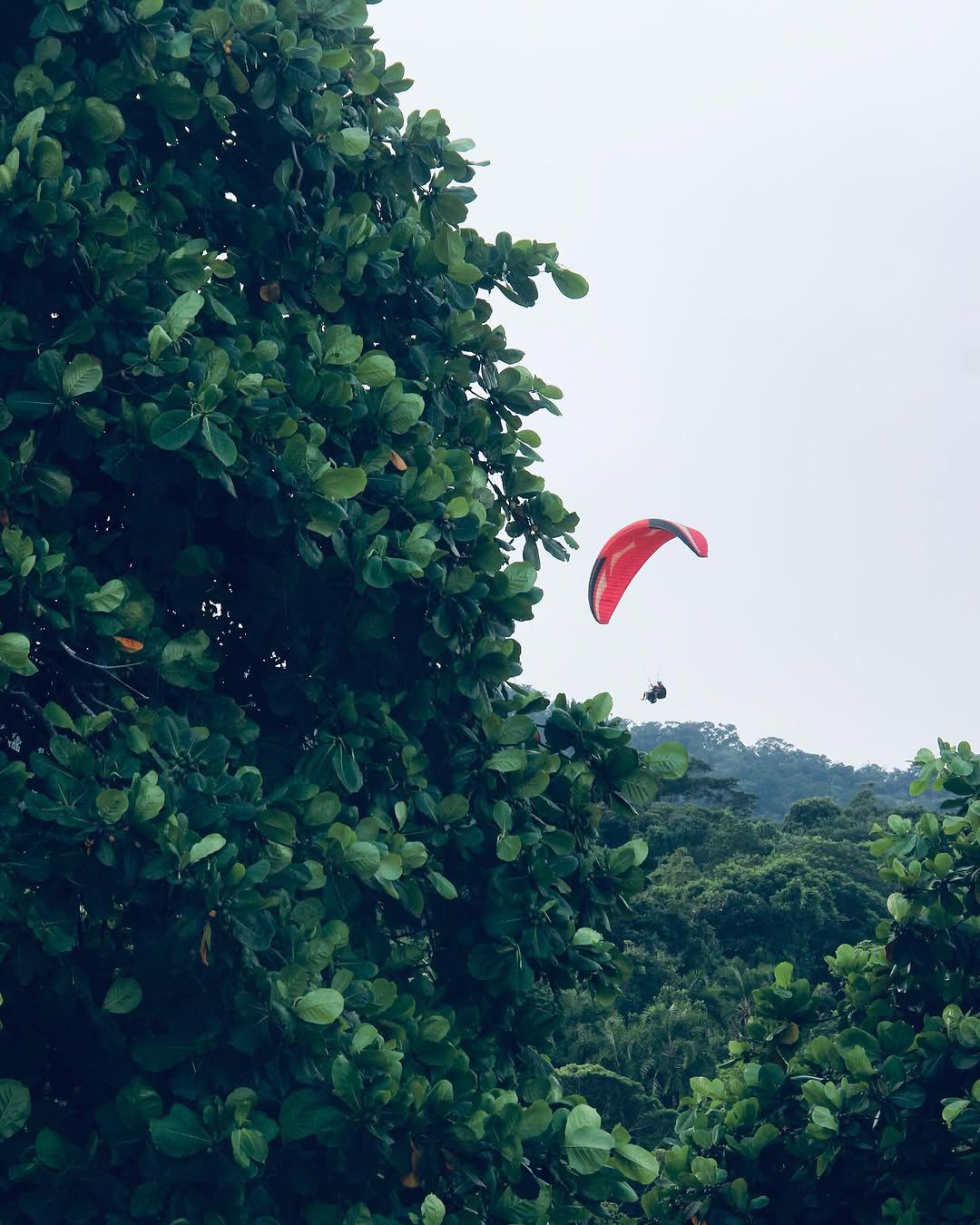 PARAPENTE