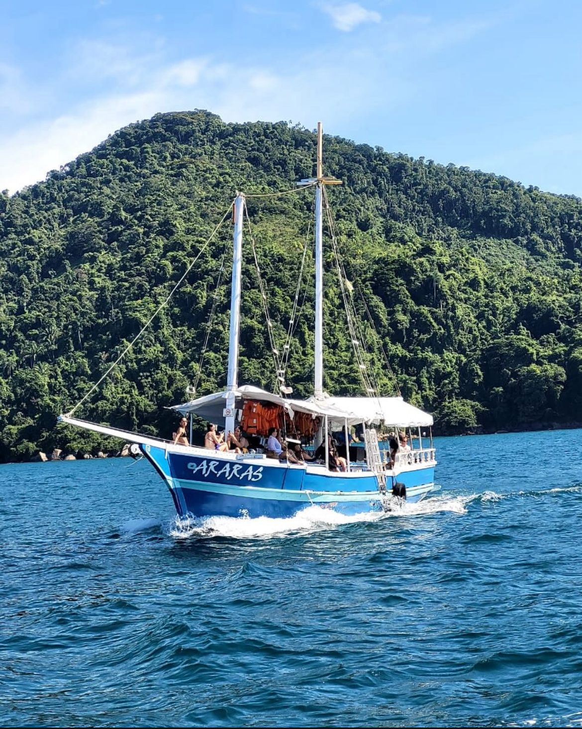 ESCUNA mini II GRUPOS