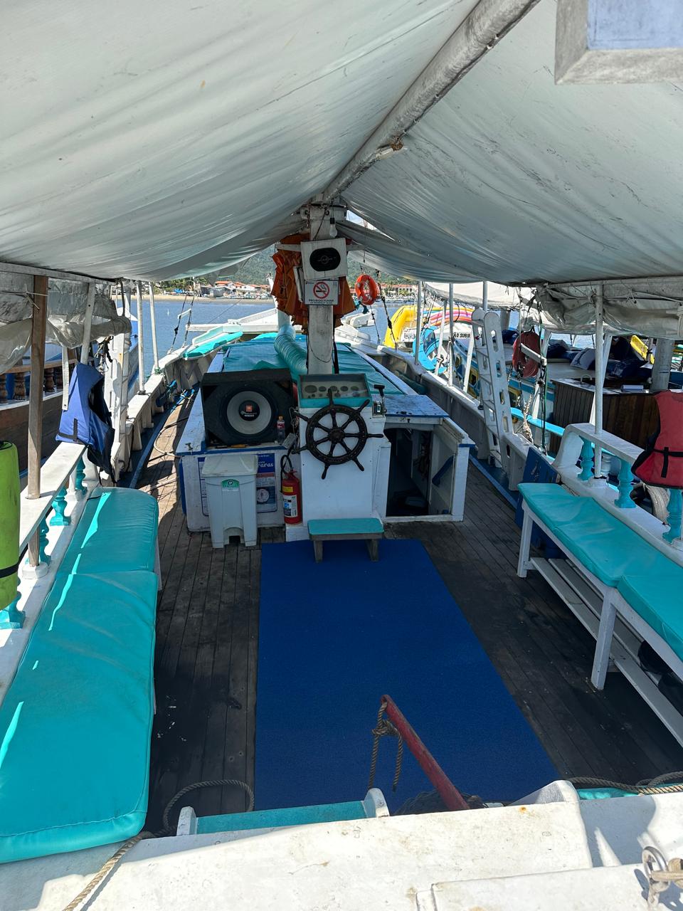 ESCUNA mini II GRUPOS