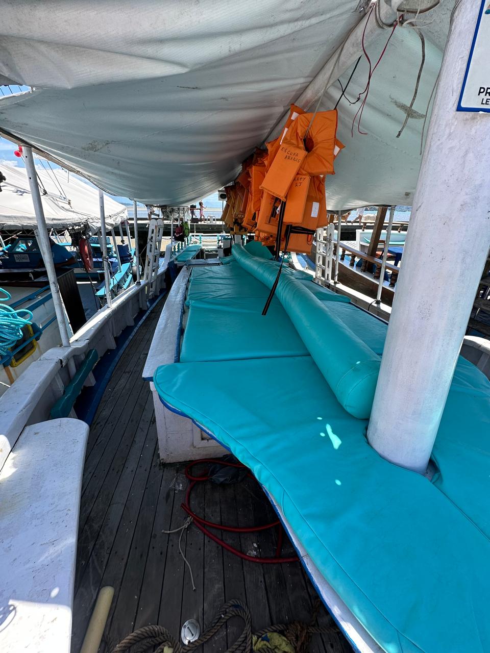 ESCUNA mini II GRUPOS