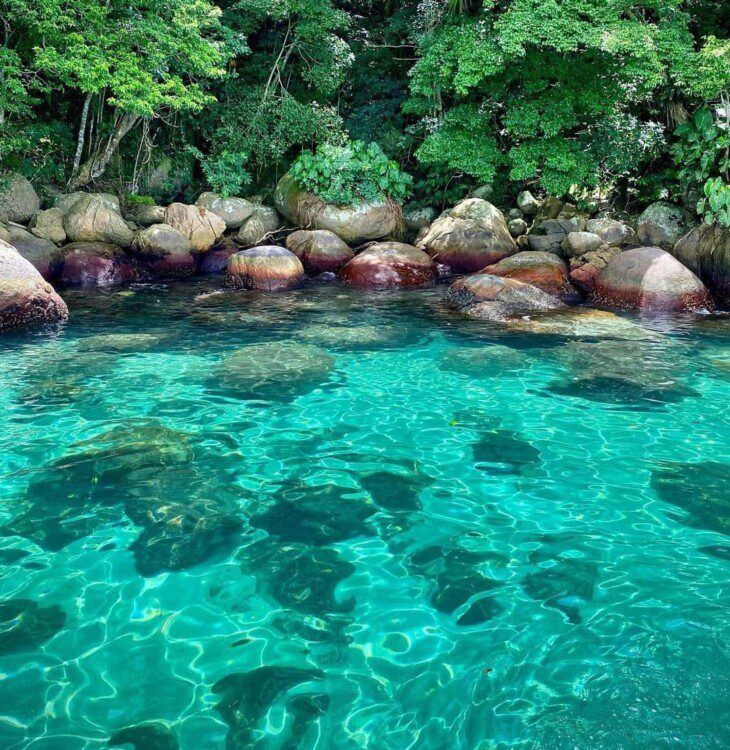 LANCHA TAXI PARATY  - Ilha dos Cocos