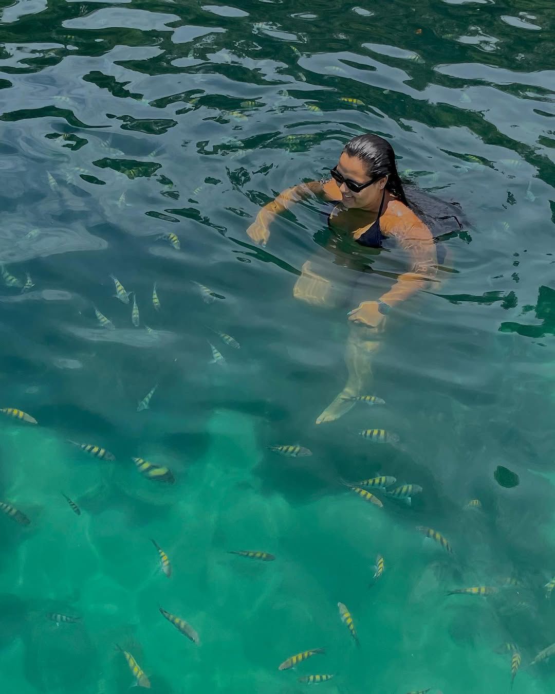 LANCHA TAXI - Costeira Norte