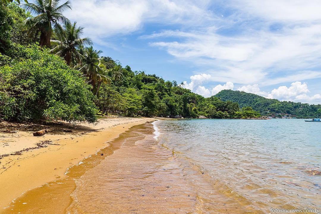 LANCHA TAXI - Costeira Norte