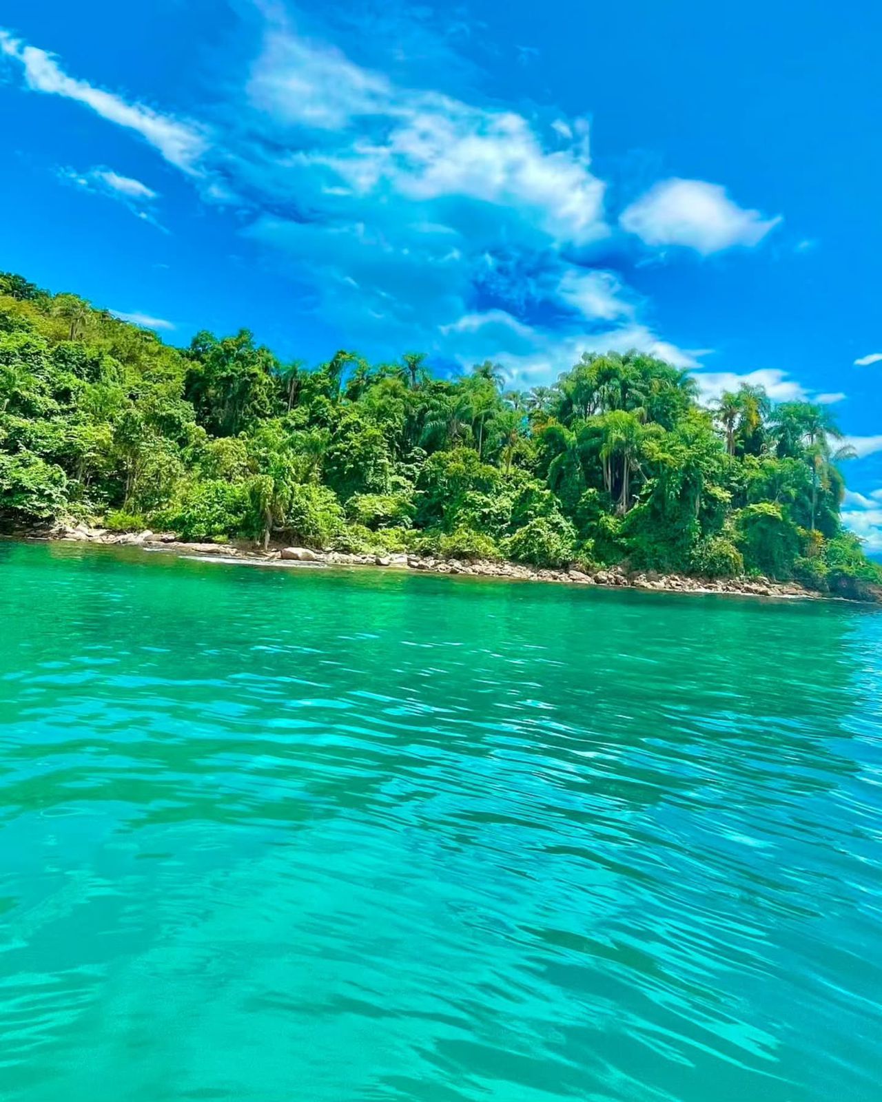 LANCHA TAXI - Costeira Norte