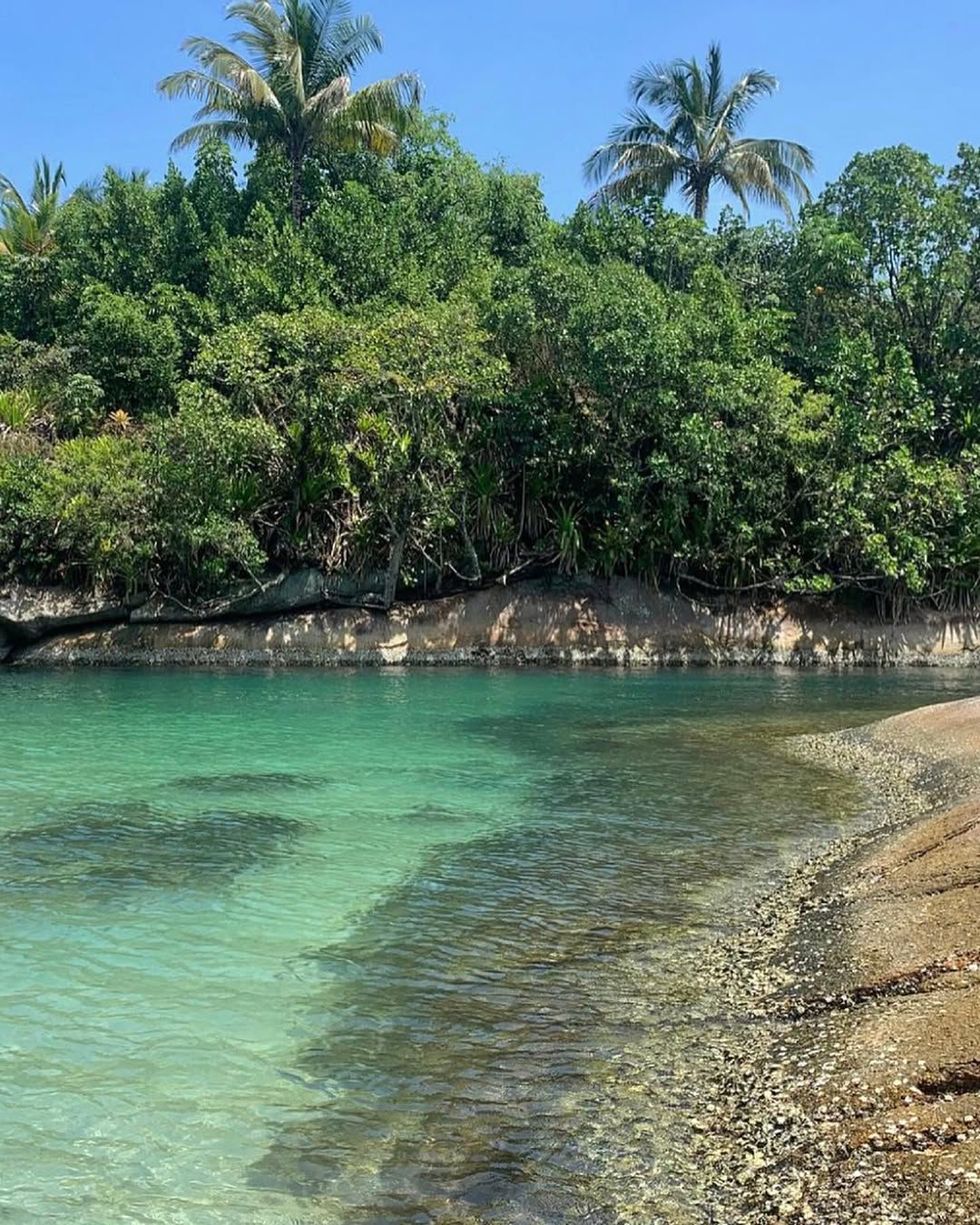 LANCHA TAXI - Costeira Norte