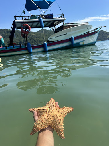 BARCO PRIVATIVO PARATY (5 pessoas)